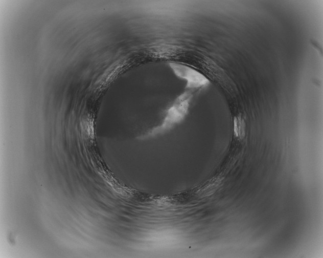 X0000100871155200807071055