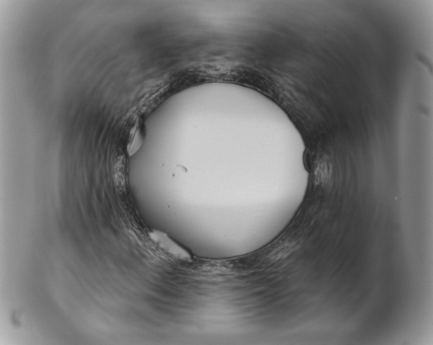 X0000100871156200807071055