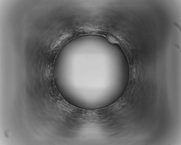 X0000100871157200807071055