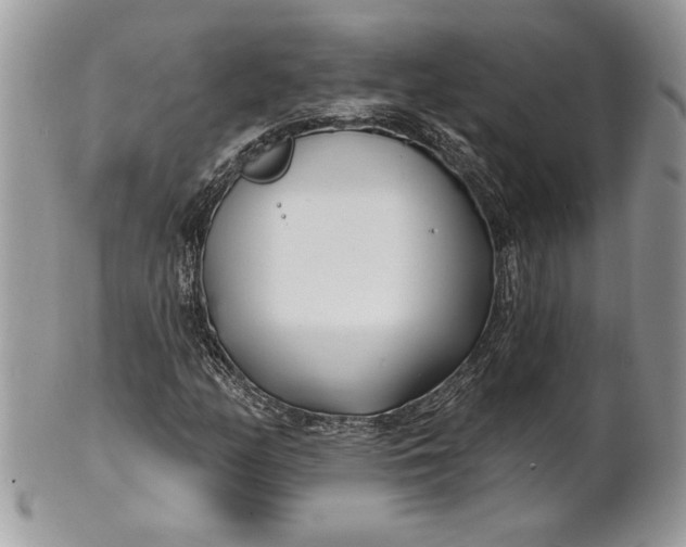 X0000100871158200807071055