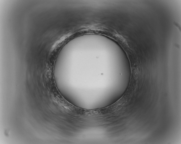 X0000100871159200807071055