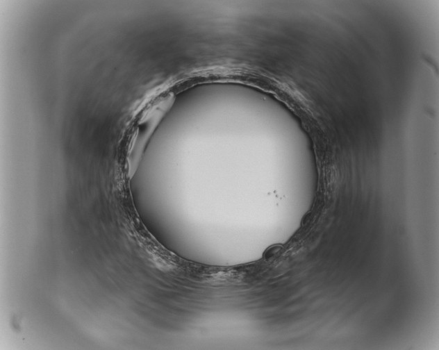 X0000100871160200807071055