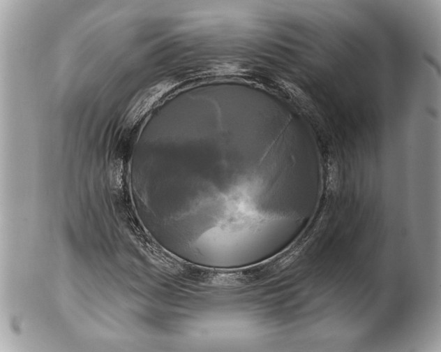 X0000100871161200807071055