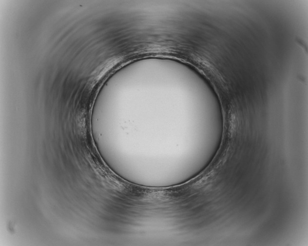 X0000100871162200807071055