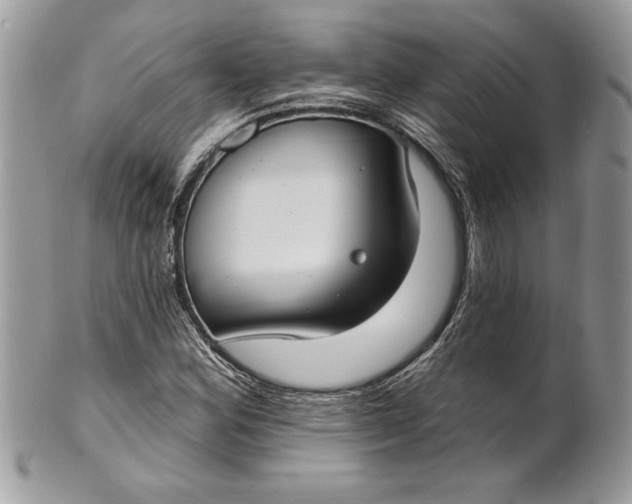 X0000100871164200807071055