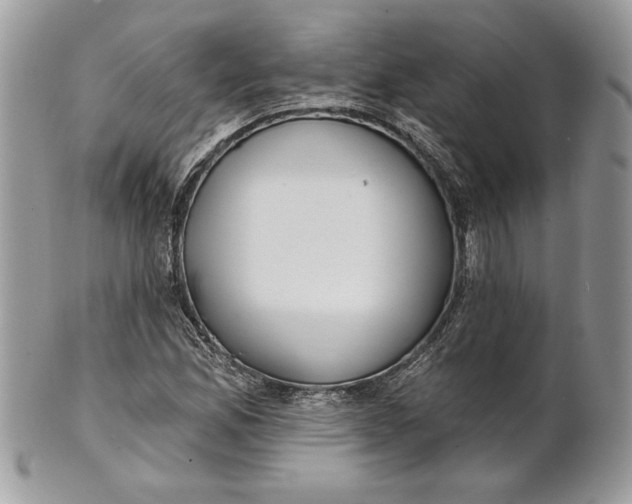 X0000100871165200807071055