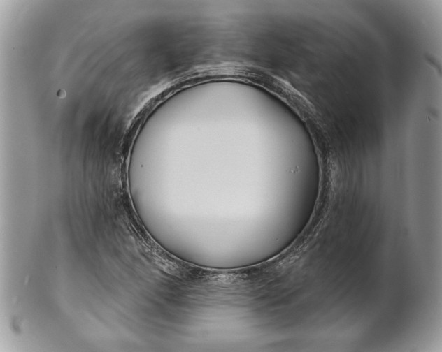 X0000100871166200807071055