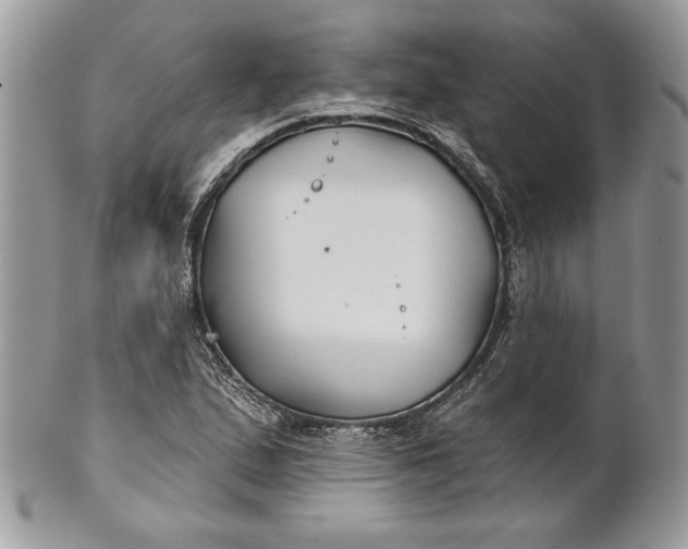 X0000100871167200807071055