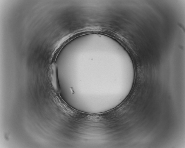 X0000100871168200807071055