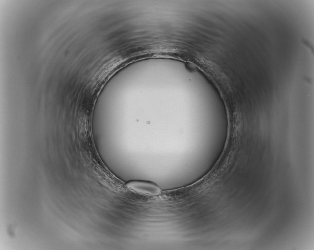 X0000100871169200807071055