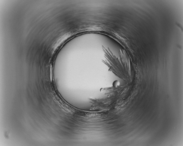 X0000100871171200807071055