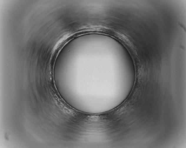 X0000100871172200807071055