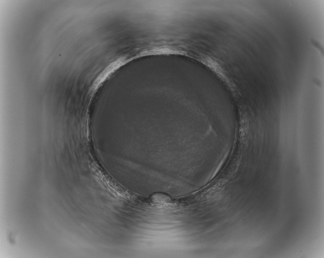 X0000100871173200807071055