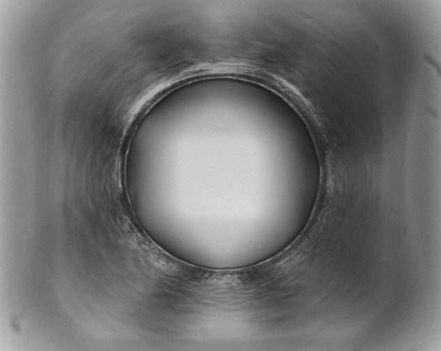 X0000100871174200807071055