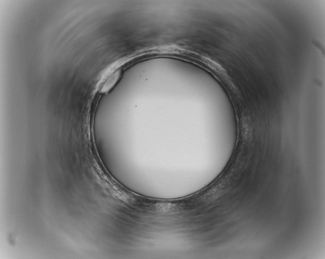 X0000100871176200807071055