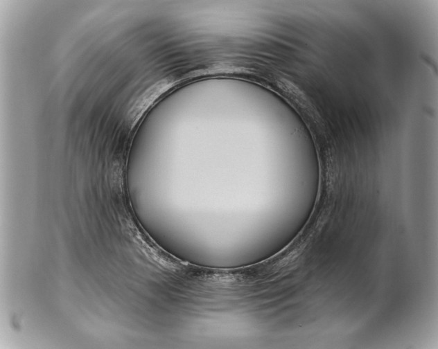 X0000100871177200807071055