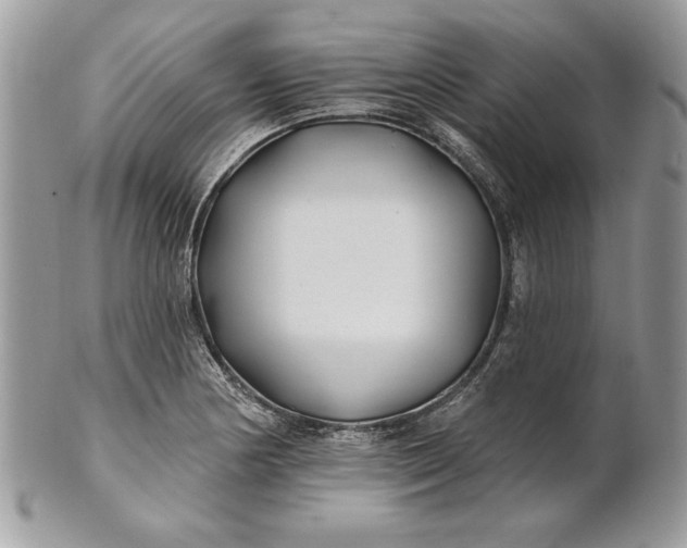 X0000100871178200807071055