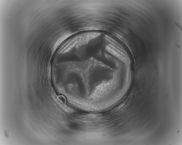 X0000100871179200807071055