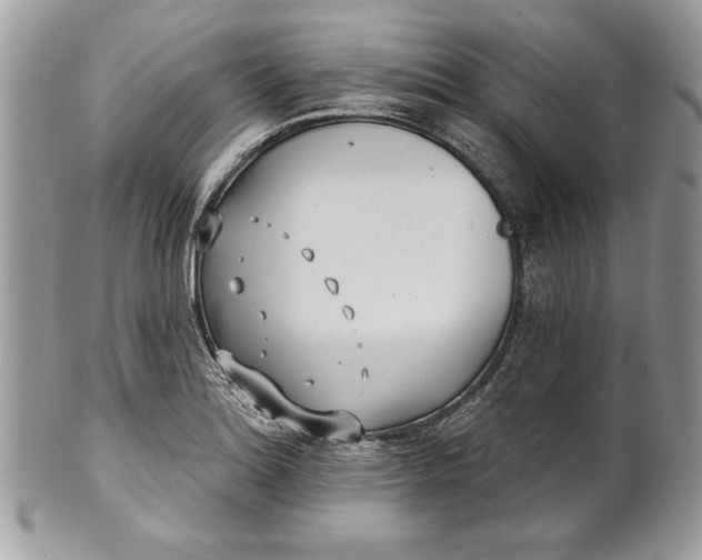 X0000100871180200807071055