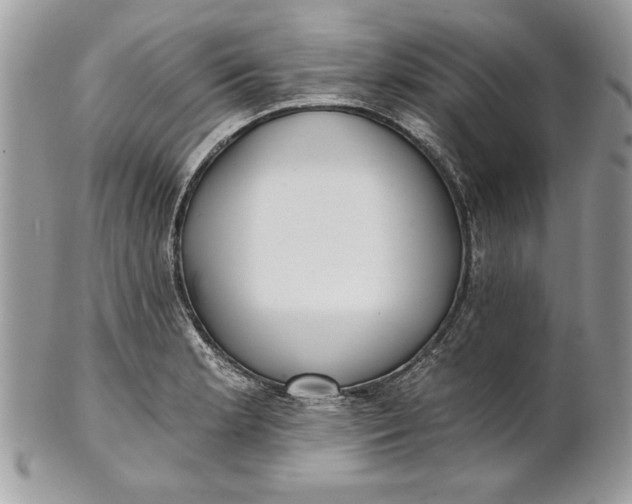 X0000100871181200807071055