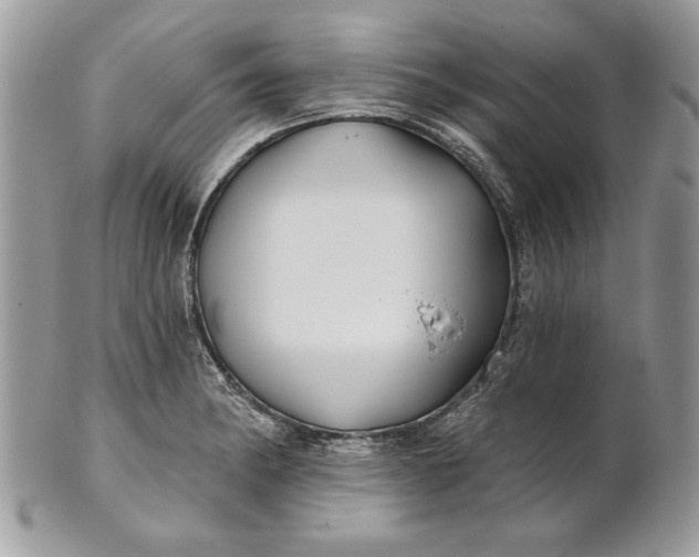 X0000100871182200807071055