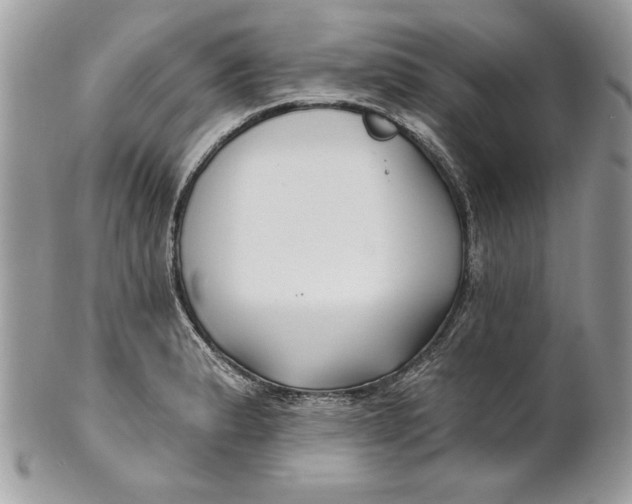 X0000100871183200807071055