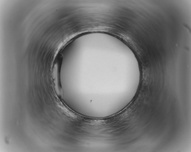 X0000100871184200807071055