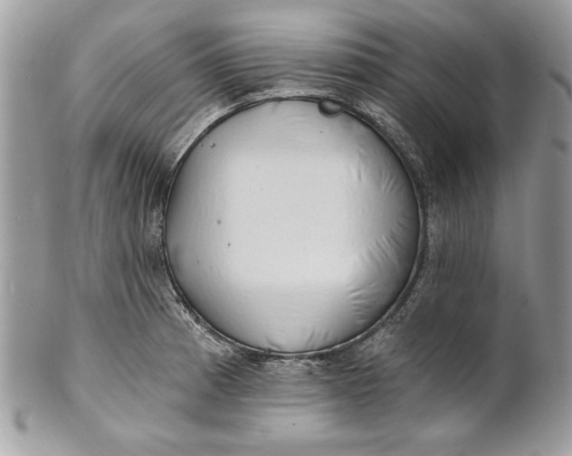 X0000100871185200807071055