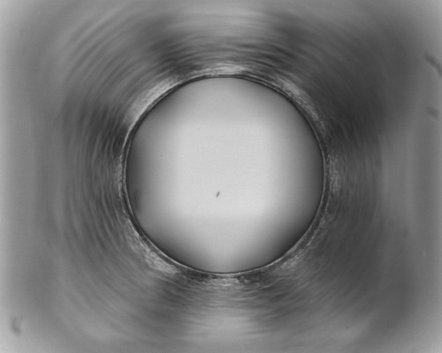 X0000100871186200807071055