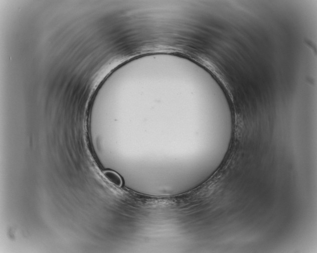 X0000100871187200807071055