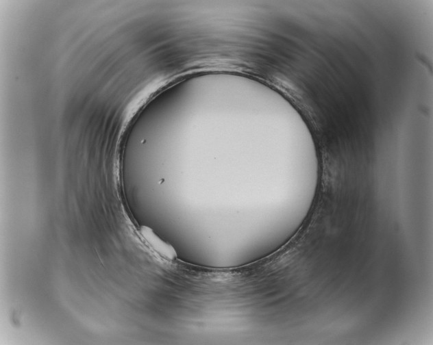 X0000100871188200807071055