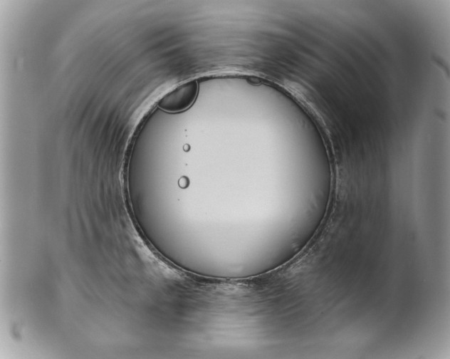 X0000100871189200807071055