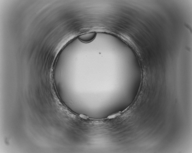 X0000100871190200807071055