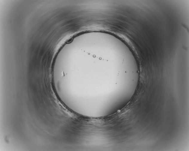 X0000100871191200807071055