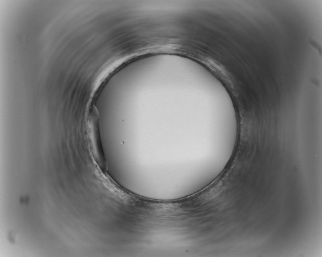 X0000100871192200807071055