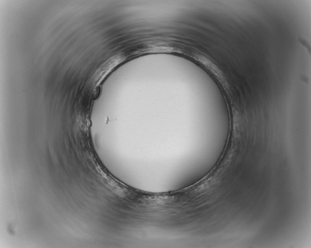 X0000100871193200807071055