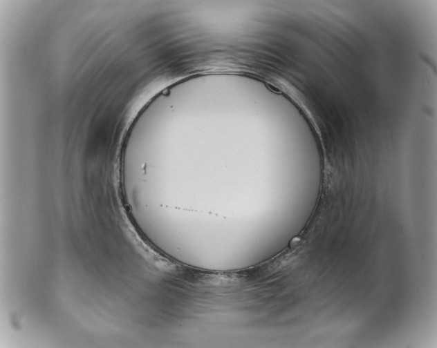 X0000100871195200807071055