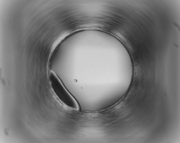 X0000100871196200807071055