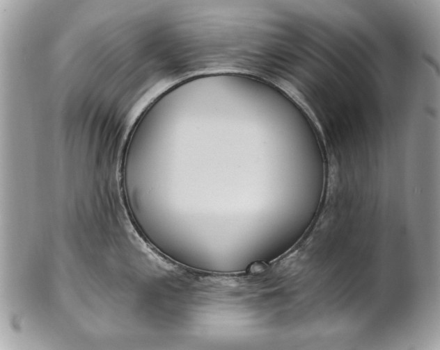 X0000100871197200807071054