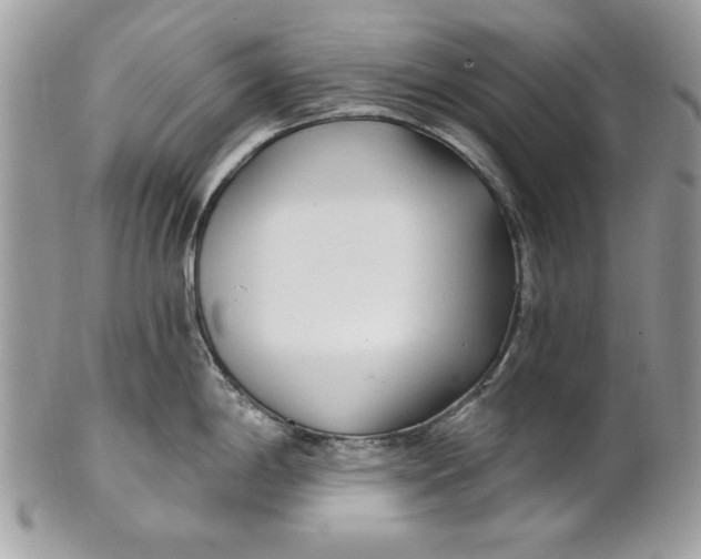 X0000100871198200807071054