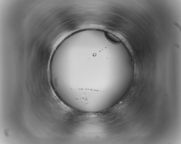 X0000100871199200807071054