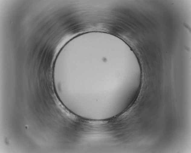 X0000100871200200807071054