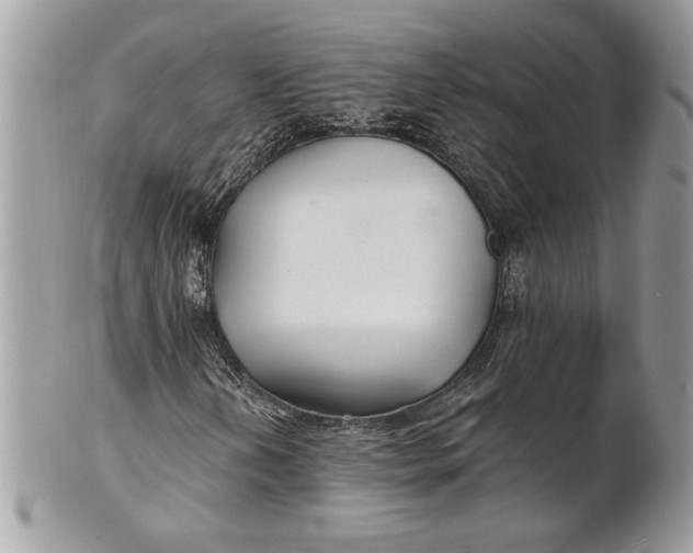 X0000100871202200807071054