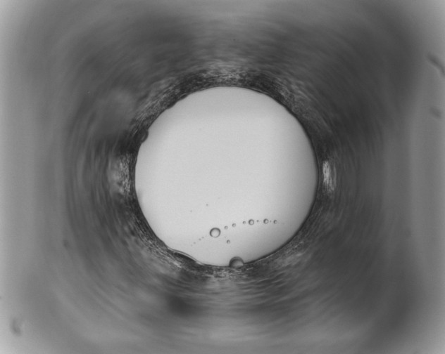 X0000100871203200807071054