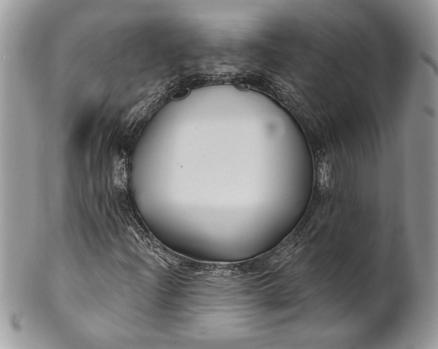 X0000100871204200807071054