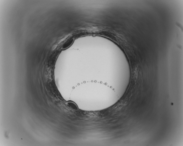 X0000100871205200807071054