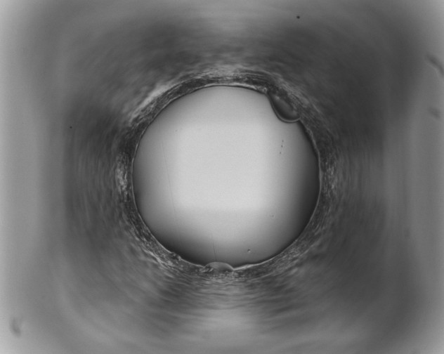 X0000100871206200807071054