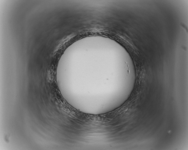 X0000100871207200807071054