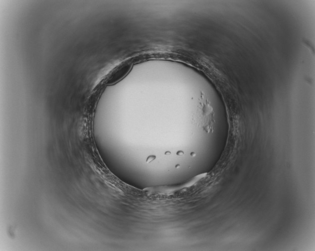 X0000100871208200807071054