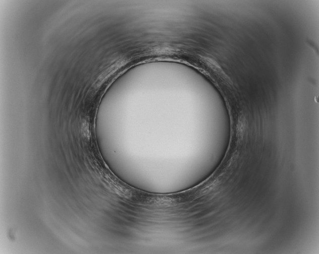 X0000100871209200807071054